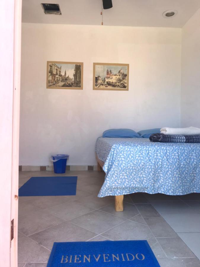 Susu'Z Village Hostel And Rooms La Ventana Ngoại thất bức ảnh